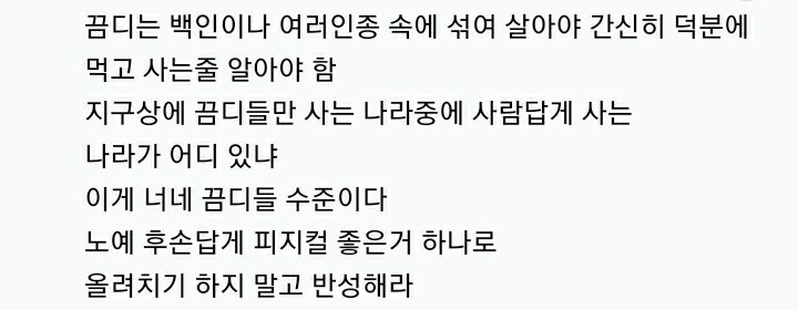 파일:니거들의 현실.jpeg