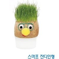 파일:테잔디.jpeg
