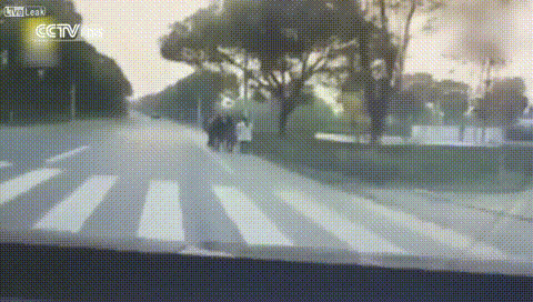 파일:갓중국의 교통사고.gif