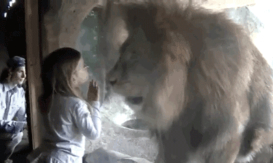 파일:그림의 떡.gif