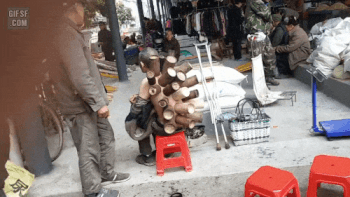 파일:몬스터헌터의 세계가 곧 현실인 이유.gif