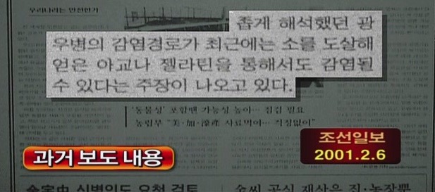 파일:광우병-조중동5.jpeg