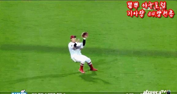 파일:나비 호수비.gif