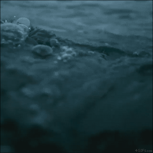 파일:68ae03f7bac4bb15438ba58b2b2423cb 1476089512 4104.gif