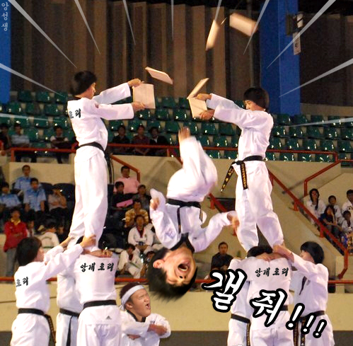 파일:백청강갤러리 청원짤.jpg