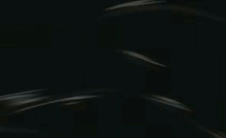 파일:어둠 어둠 열매.png