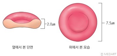 파일:Body 360 1.jpg