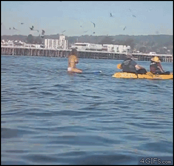 파일:멸치를 많이먹어야 나처럼 쭈욱쭈욱커요.gif