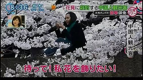파일:野蛮的中国虫3.jpeg