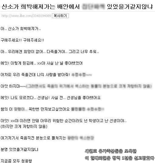 파일:일베-세월호.jpg