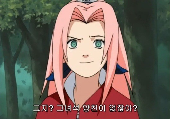 파일:사쿠라패드립.jpg