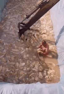 파일:짱깨산 김치 만드는 과정.gif