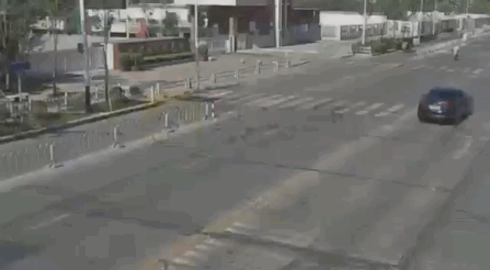 파일:짱퀴벌레 공중제비.gif