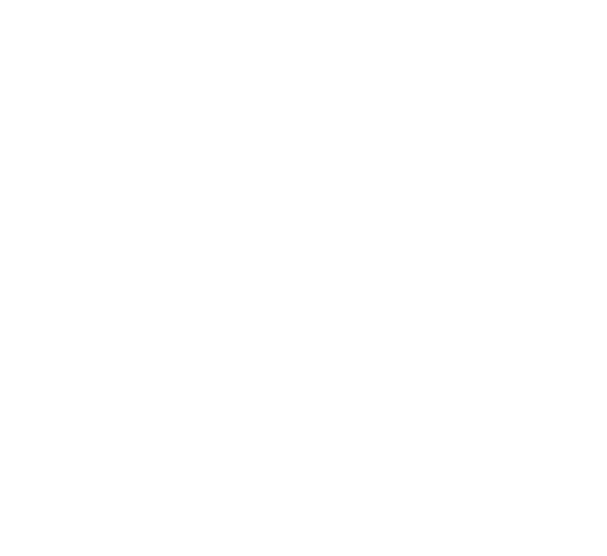 파일:플스 로고 화이트.png
