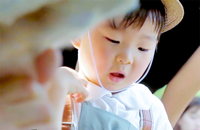 파일:Dyan1.jpg