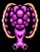 파일:Unnamed shell target.jpg