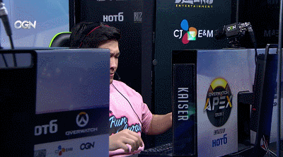 파일:모든걸감수하는카이저.gif