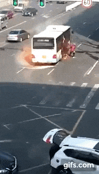 파일:바퀴벌레 알집 화재.gif