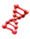 파일:슈퍼 DNA.png