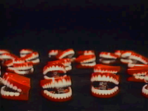 파일:대한민국 박사모.gif