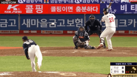 파일:안권수호수비.gif