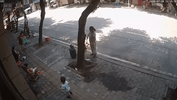 파일:대륙의 애완동물.gif