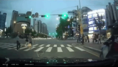 파일:어디서 어르신 건너시는데 지랄이여.gif