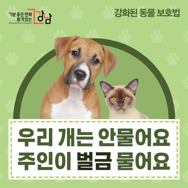 파일:우리 개는 안 물어요.jpg