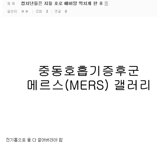파일:메갤 미러링 3.jpg