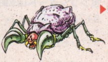 파일:Weevil.jpg