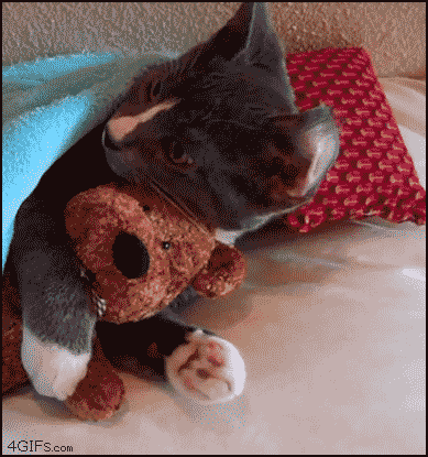 파일:2009496221 390fddc4.gif