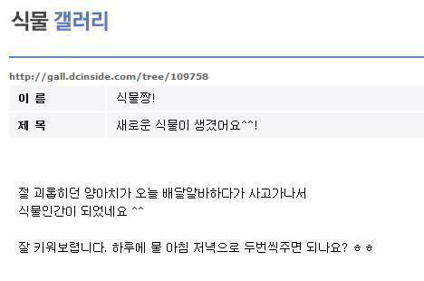 파일:새로운 식물이 생겼어요^^.jpg
