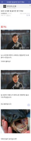 파일:미정갤 틀딱 망상 14.jpg