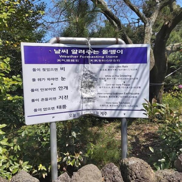 파일:날알돌근황.jpg