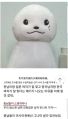 2026년 1월 5일 (월) 19:14 판의 섬네일