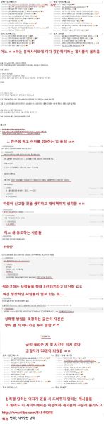 파일:일베강간모의.JPG