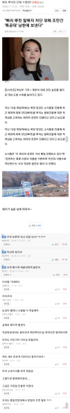 파일:북괴드림 근황.png