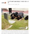 2026년 1월 5일 (월) 19:11 판의 섬네일