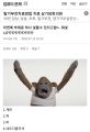 2026년 1월 5일 (월) 19:19 판의 섬네일
