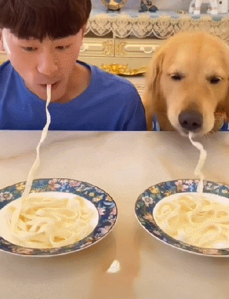 파일:강쥐면취귀.gif