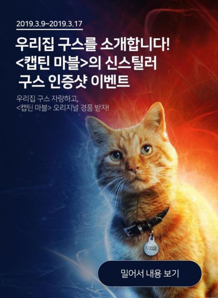 파일:우리집 구스 이벤트.jpg