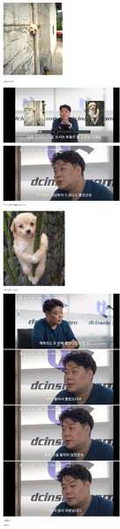 파일:개벽이 개죽이 근황.png