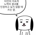 2026년 1월 5일 (월) 19:08 판의 섬네일