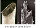 2026년 1월 5일 (월) 19:07 판의 섬네일