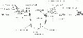 2026년 1월 5일 (월) 19:22 판의 섬네일