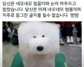 2026년 1월 5일 (월) 19:11 판의 섬네일