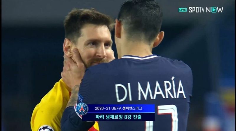 파일:파전드메시.jpg