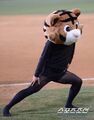 2026년 1월 5일 (월) 19:22 판의 섬네일