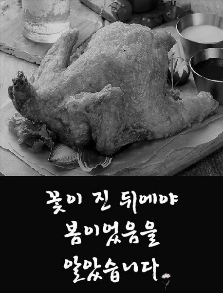 파일:Aaqqwdsas.jpg