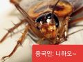 2026년 1월 5일 (월) 19:22 판의 섬네일